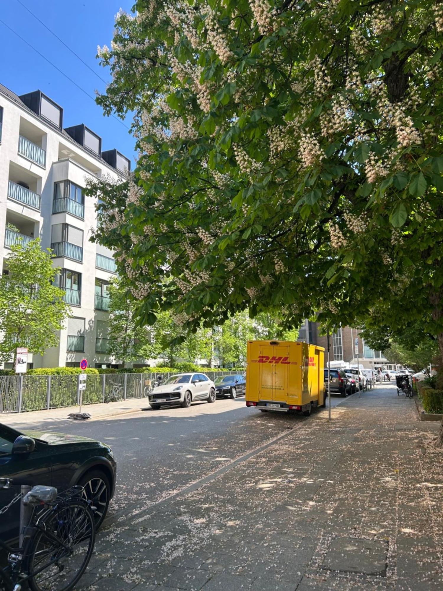 Haydn München